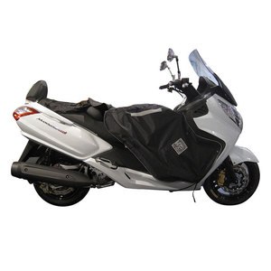 SCOOTER TERMOSCUD R088X